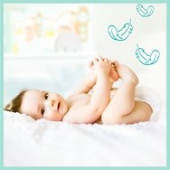 Pampers Комплект Premium Care Νο1 Newborn (2-5kg) 150 Пелени (3x50 Пелени)