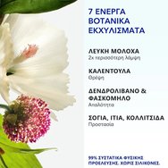 Комплект Phyto 7 Elixir Smoothing Enhancing Oil 100ml & Universal Day Cream 50ml