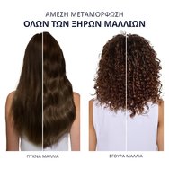 Комплект Phyto 7 Elixir Smoothing Enhancing Oil 100ml & Universal Day Cream 50ml