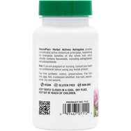 Natures Plus Astragalus 450mg 60caps