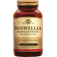 Solgar Boswellia Resin Extract 60veg.caps - Диетична добавка с екстракт от смола от тамян с противовъзпалителни свойства при астма Solgar Boswellia Resin Extract 60veg.caps - Диетична добавка с екстракт от смола от тамян с противовъзпалителни свойства при астма