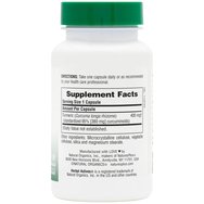 Natures Plus Turmeric 400mg, 60caps Natures Plus Turmeric 400mg, 60caps