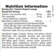 Natures Plus Animal Parade Kid Zinc 90 Lozenges