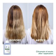 Klorane Organic Flax Volume Shampoo Fine Hair 400ml Klorane Organic Flax Volume Shampoo Fine Hair 400ml