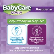 BabyCare Familly Raspberry Wipes Monthly Box 1080 бр (12x90 бр)