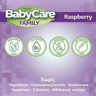 BabyCare Familly Raspberry Wipes Monthly Box 1080 бр (12x90 бр)