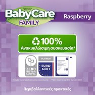 BabyCare Familly Raspberry Wipes Monthly Box 1080 бр (12x90 бр)