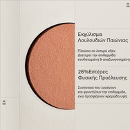 Korres Natural Fresh Bush 4.5g - 04 Almond Bronze