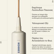 Korres Natural Radiance Concealer 8ml - 01 Light