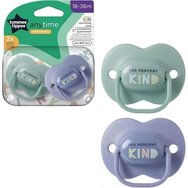 Tommee Tippee Anytime Orthodontic Silicone Soother 18-36m, 2 Τεμάχια - Λιλά / Μέντα Tommee Tippee Anytime Orthodontic Silicone Soother 18-36m, 2 Τεμάχια - Λιλά / Μέντα