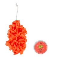 Mad Beauty Promo Disney Princess Body Exfoliator & Ginger Pear Soap Ексфолираща гъба за тяло & хидратиращ сапун, вдъхновен от Moana, с аромат на джинджифил и круша 100g Mad Beauty Promo Disney Princess Body Exfoliator & Ginger Pear Soap Ексфолираща гъба за тяло & хидратиращ сапун, вдъхновен от Moana, с аромат на джинджифил и круша 100g