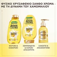 Garnier Botanic Therapy Sun-Kissed & Blossom Honey Chamomile Shampoo 400ml