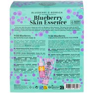 Natura Siberica Promo Anti-Ox Wild Blueberry Hyaluronic Acid Cream to Foam Face Cleanser 100ml & Coenzyme Q10 Renewing Face Serum 30ml