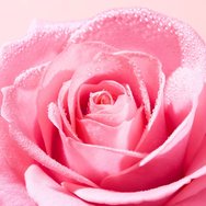 Nuxe Very Rose Soothing Cleansing Micellar Water 400ml