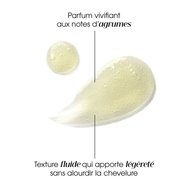 Klorane Citrus Shampoo Normal to Oily Hair 400ml