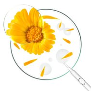 Klorane Bebe Organic Calendula Face & Body Moisturising Cream Бебешки хидратиращ крем за лице и тяло с екстракт от невен 200ml Klorane Bebe Organic Calendula Face & Body Moisturising Cream Бебешки хидратиращ крем за лице и тяло с екстракт от невен 200ml