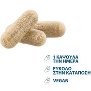 Ducray Promo Anacaps Expert Chronic Hair Loss 60caps (2x30caps) Ducray Promo Anacaps Expert Chronic Hair Loss 60caps (2x30caps)