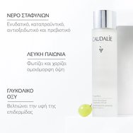 Caudalie Vinoperfect Concentrated Brightening Glycolic Essence 50ml