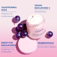 Caudalie Promo Resveratrol Lift - Firming Cashmere Day Cream 50ml & Подарък Instant Firming Serum 10ml Caudalie Promo Resveratrol Lift - Firming Cashmere Day Cream 50ml & Подарък Instant Firming Serum 10ml