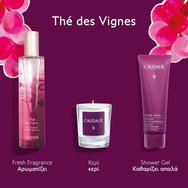 Caudalie Promo The Des Vignes Fresh Fragrance 50ml & Подарък Shower Gel 50ml & Подарък Scented Candle 35g Caudalie Promo The Des Vignes Fresh Fragrance 50ml & Подарък Shower Gel 50ml & Подарък Scented Candle 35g