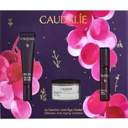 Caudalie Promo Premier Cru The Eye Cream 15ml & Подарък The Serum 10ml & Подарък The Cream 15ml Caudalie Promo Premier Cru The Eye Cream 15ml & Подарък The Serum 10ml & Подарък The Cream 15ml