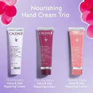 Caudalie Promo Vinotherapist 30ml & The Des Vignes 30ml & Rose de Vigne 30ml Hand & Nail Creams Caudalie Promo Vinotherapist 30ml & The Des Vignes 30ml & Rose de Vigne 30ml Hand & Nail Creams
