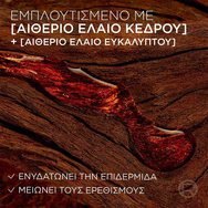 L\'Oreal Paris Men Expert BarberClub Beard & Skin Oil 30ml