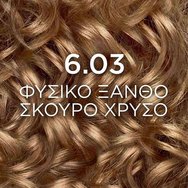 L\'Oreal Paris Excellence Creme Age Perfect Nudes Боя за коса 1 брой - 6.03 Естествено тъмно топло русо