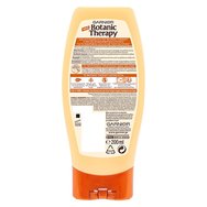 Garnier Botanic Therapy Honey Treasure Conditioner 200ml