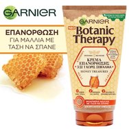 Garnier Botanic Therapy Honey Treasures 150ml