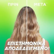 Garnier Fructis Sleek & Shine Keratin Hair Bomb 320ml Garnier Fructis Sleek & Shine Keratin Hair Bomb 320ml