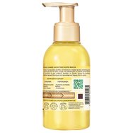 Garnier Botanic Therapy Lightening Elixir 120ml Garnier Botanic Therapy Lightening Elixir 120ml