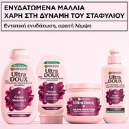 Garnier Botanic Therapy Grape Moistrure Hair Mask Интензивна реструктурираща маска за дехидратирана коса с вода и гроздово масло 340ml Garnier Botanic Therapy Grape Moistrure Hair Mask Интензивна реструктурираща маска за дехидратирана коса с вода и гроздово масло 340ml