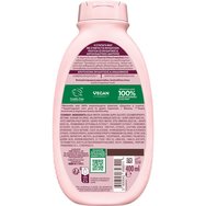 Garnier Botanic Therapy Grape Moistrure Shampoo Шампоан за интензивна хидратация на дехидратирана коса с вода и гроздово масло 400ml Garnier Botanic Therapy Grape Moistrure Shampoo Шампоан за интензивна хидратация на дехидратирана коса с вода и гроздово масло 400ml
