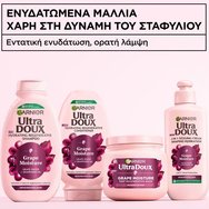 Garnier Botanic Therapy Grape Moistrure Shampoo Шампоан за интензивна хидратация на дехидратирана коса с вода и гроздово масло 400ml Garnier Botanic Therapy Grape Moistrure Shampoo Шампоан за интензивна хидратация на дехидратирана коса с вода и гроздово масло 400ml