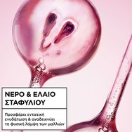 Garnier Botanic Therapy Grape Moistrure Leave In Cream 2 в 1 крем за дехидратирана коса за хидратация и жизненост с вода и гроздово масло 200ml Garnier Botanic Therapy Grape Moistrure Leave In Cream 2 в 1 крем за дехидратирана коса за хидратация и жизненост с вода и гроздово масло 200ml