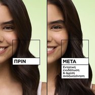 Garnier Fructis Hydrating & Freshness Kiwi Menthol Hair Food Mask Маска за коса 3 в 1 с вода от киви и ментол за мазни корени и сухи краища 400ml