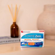 Forte Pharma Forte Zen Moral Boost 30tabs (15 Daytabs + 15 Nighttabs)