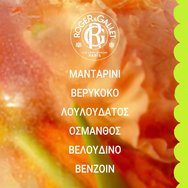 Roger & Gallet Fleur d\' Osmanthus Wellbeing Shower Gel 200ml Roger & Gallet Fleur d\' Osmanthus Wellbeing Shower Gel 200ml