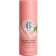 Roger & Gallet Sublimating Lip Balm 3,5g - Fleur De Figuier Roger & Gallet Sublimating Lip Balm 3,5g - Fleur De Figuier
