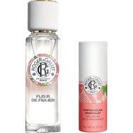Roger & Gallet Promo Fleur De Figuier Wellbeing Fragrant Water 30ml & Solid Fragrance 5g Roger & Gallet Promo Fleur De Figuier Wellbeing Fragrant Water 30ml & Solid Fragrance 5g