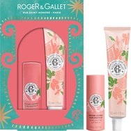 Roger & Gallet Promo Fleur De Figuier Sublimating Lip Balm 3,5g & Hand Cream 30ml - Подхранващ балсам за устни за отличителен блясък и подсилен естествен цвят с аромат на смокиня и крем за ръце за подхранване и хидратиране с аромат на смокиня и грейпфрут