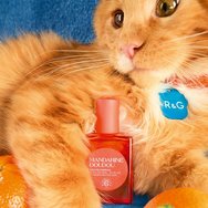 Roger & Gallet Mandarine Doudou Eau de Parfum Roll-On Концентриран Roll-On парфюм с нотки на мандарина & портокалов цвят, затопля с вкусна хармония от бриош & зърна тонка 15ml Roger & Gallet Mandarine Doudou Eau de Parfum Roll-On Концентриран Roll-On парфюм с нотки на мандарина & портокалов цвят, затопля с вкусна хармония от бриош & зърна тонка 15ml