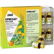 Floradix Epresat 100ml (10x10ml) Floradix Epresat 100ml (10x10ml)