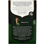 Yogi Tea Green Chai 17 Teabags (17 сашета x 1,8g)