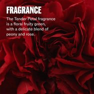 Wella Professionals Ultimate Repair Protective Leave-In Step 4, 95ml