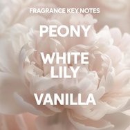 Wella Professionals Promo Oil Reflections Luminous Smoothening Hair Oil 30ml & Reboost Mask 150ml & Luminous Reveal Shampoo 250ml Wella Professionals Promo Oil Reflections Luminous Smoothening Hair Oil 30ml & Reboost Mask 150ml & Luminous Reveal Shampoo 250ml