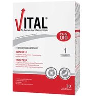 Vital Plus Q10 30Lipid.caps - Коензим Q10 и мултивитаминна хранителна добавка за енергия и стимулация с мощна имунна система