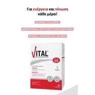 Vital Plus Q10 30 Softgels Vital Plus Q10 30 Softgels
