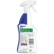 Dettol Power & Pure Fresh Mountain Spring 750ml Dettol Power & Pure Fresh Mountain Spring 750ml